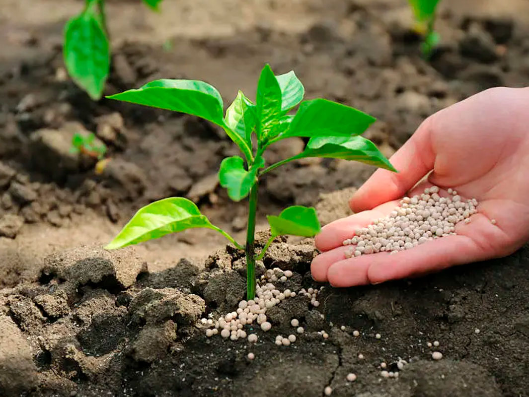 agroquimicos agroquimicos